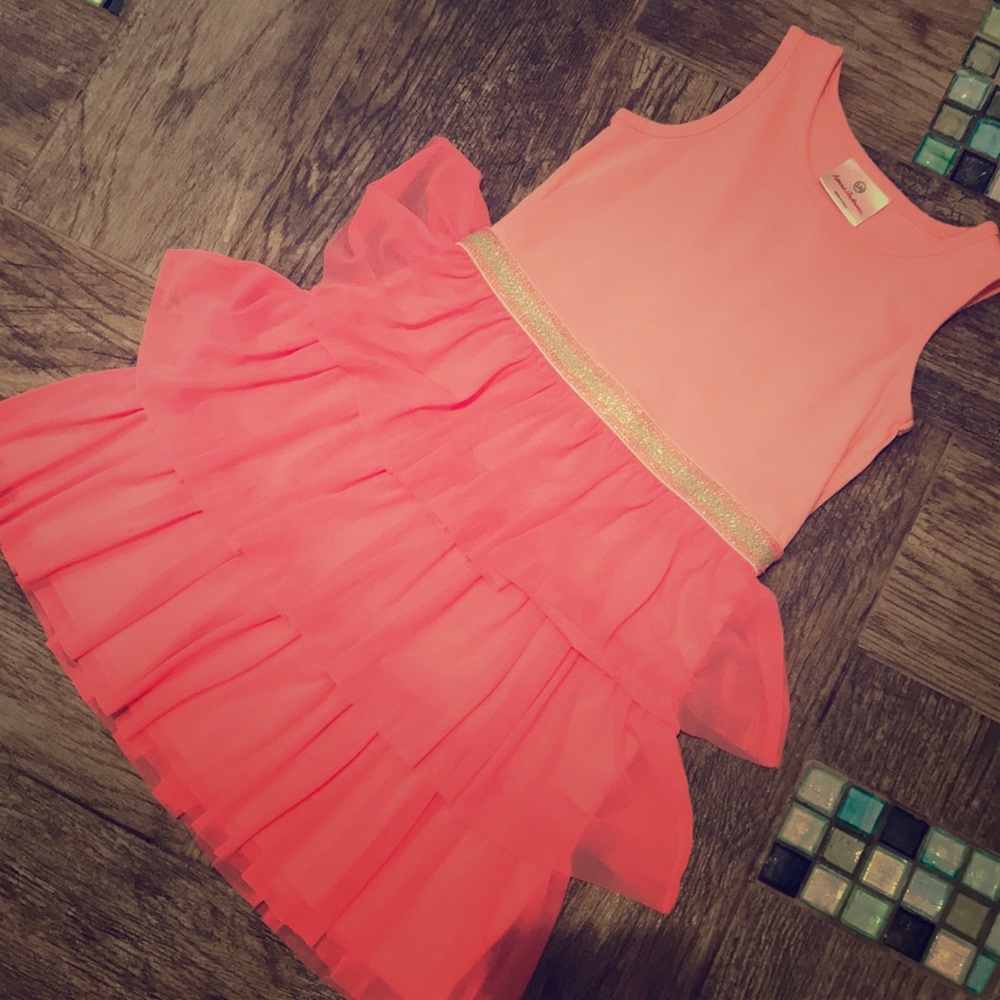 Hanna Andersson Pink Tulle Twirl Dress